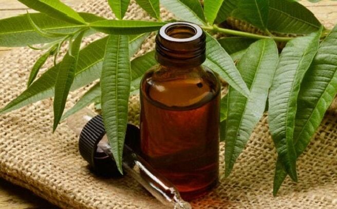 Tea tree oil - lidový lék, jak se zbavit bradavic na penisu