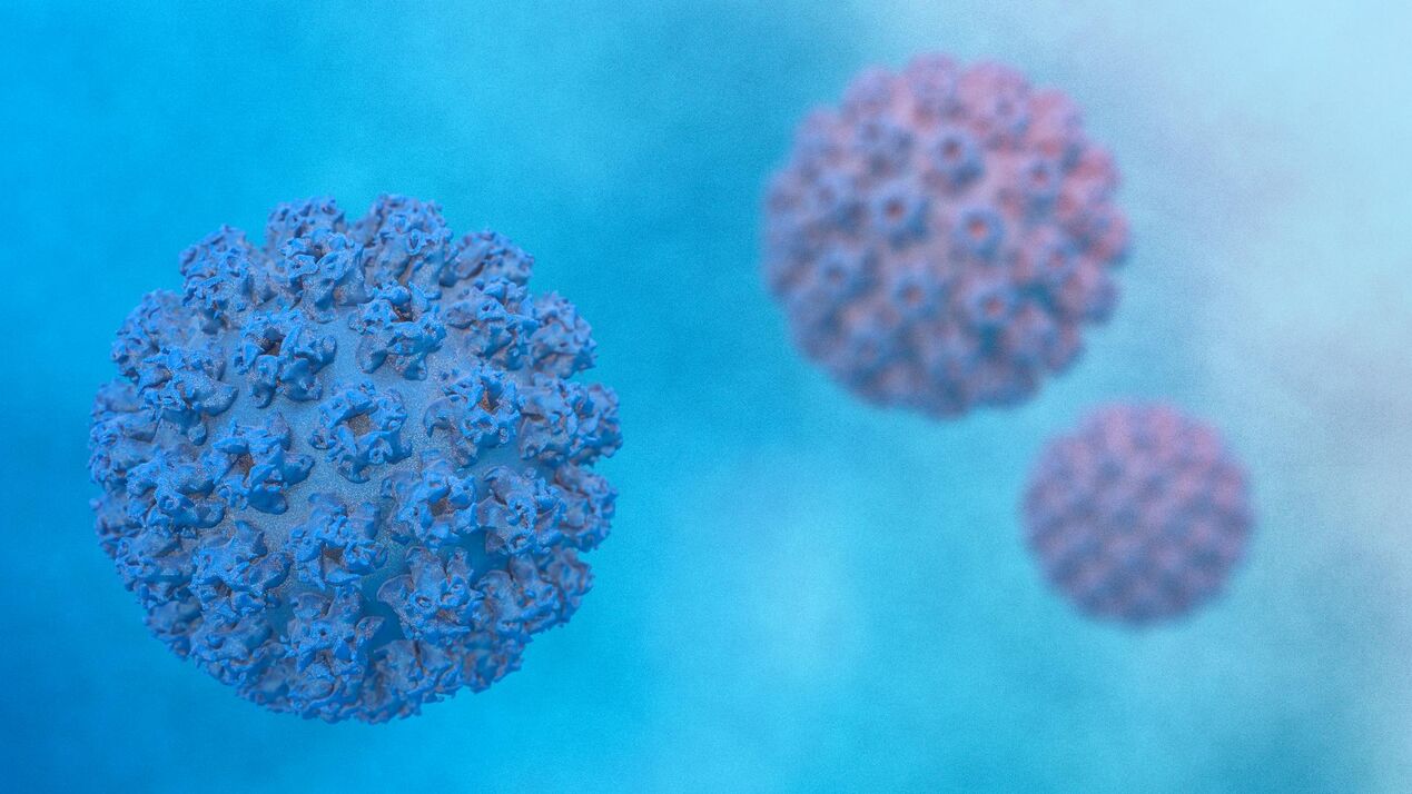 Papilomavirus