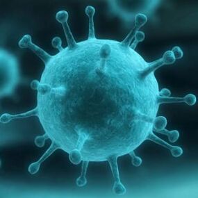 Lidsky papillomavirus